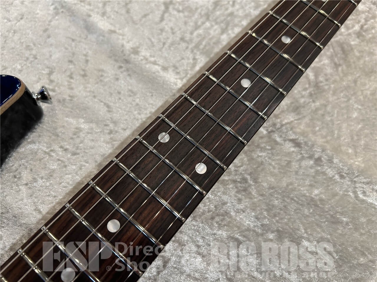 SCHECTER NV-3-24-AL Rosewood / See-thru Blue #GG1px