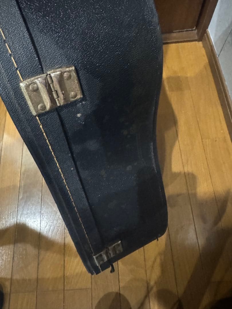 Morris M 601 side back with Jacaranda DiMarzio pickup