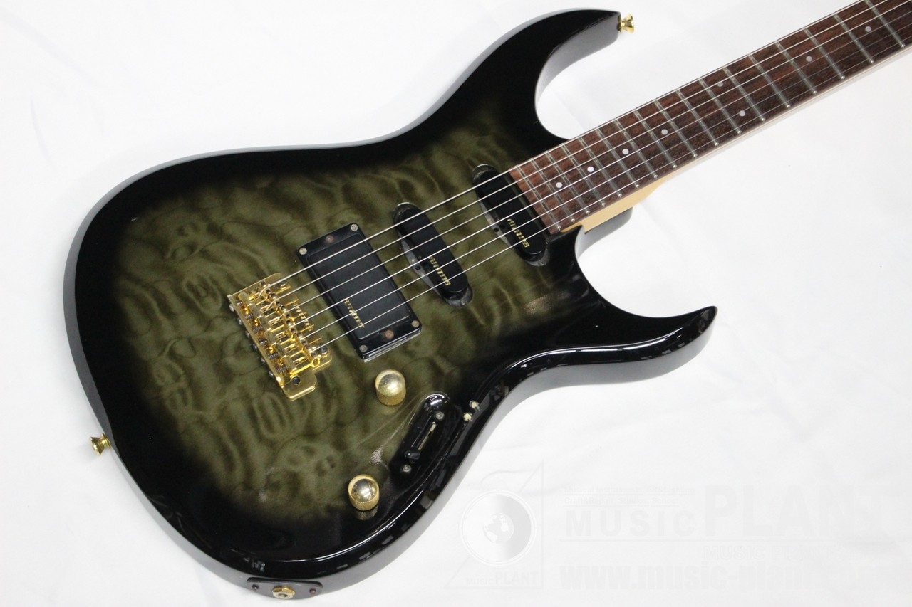 FERNANDES FGZ-400 SBS