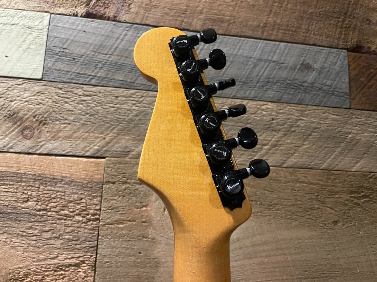 Fender Eric Johnson Thinline Stratocaster | Vega Trem Barden S-Style | MODS
