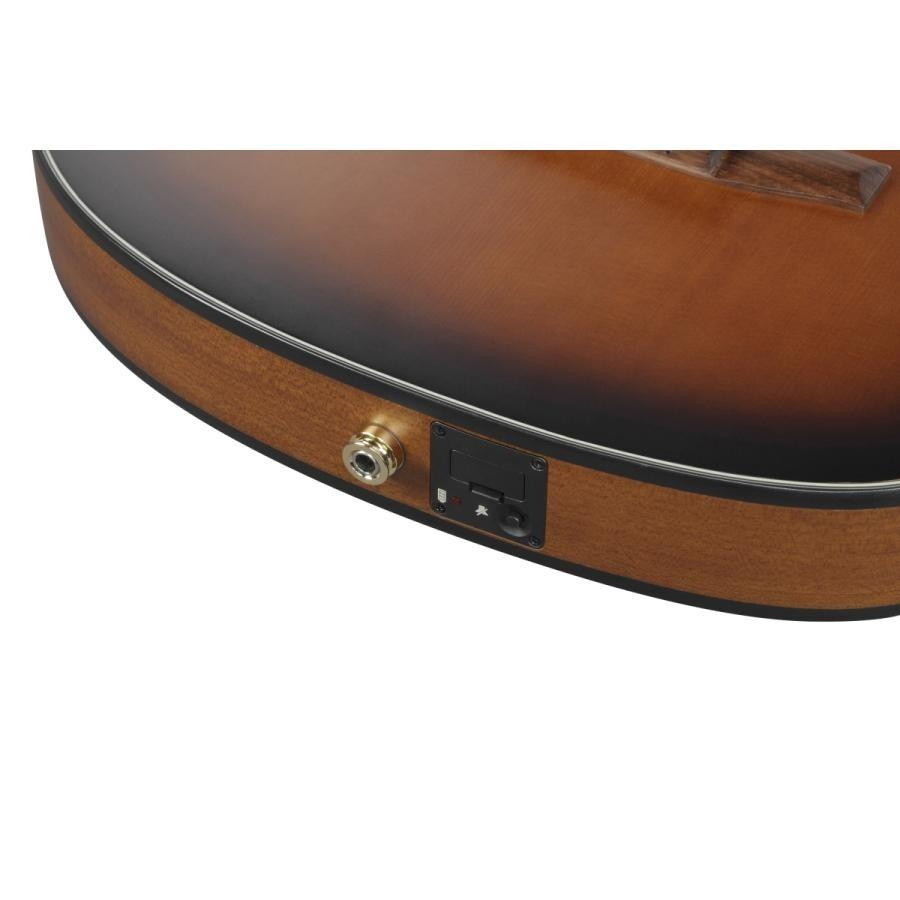 Ibanez FRH10N-BSF Nylon Electric Guitar Brown Sunburst Flat FR Hollow Body