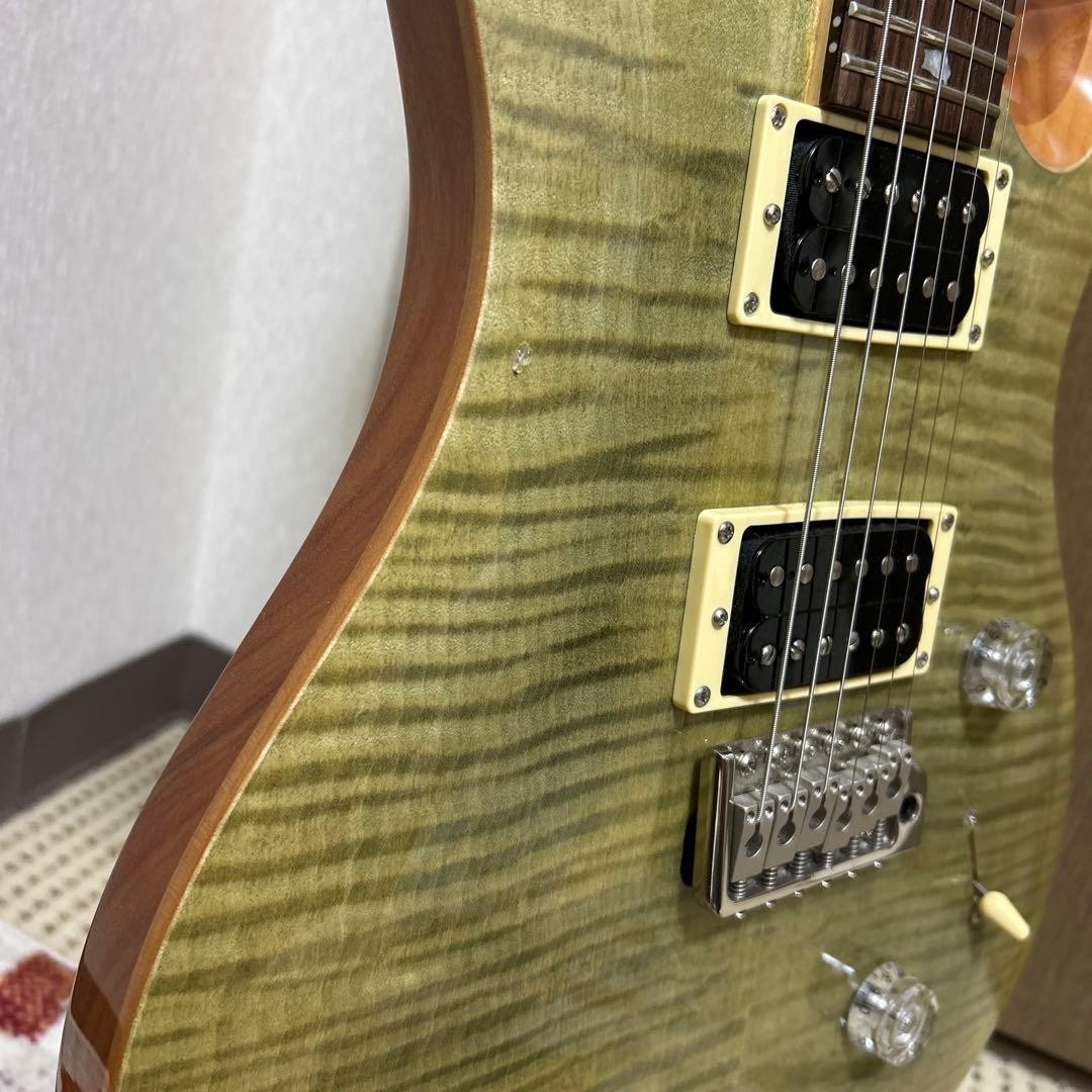 PRS SE Custom 24 Electric Guitar Safe packing!