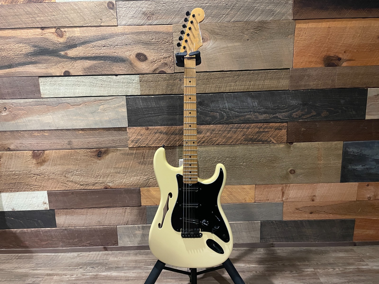 Fender Eric Johnson Thinline Stratocaster | Vega Trem Barden S-Style | MODS