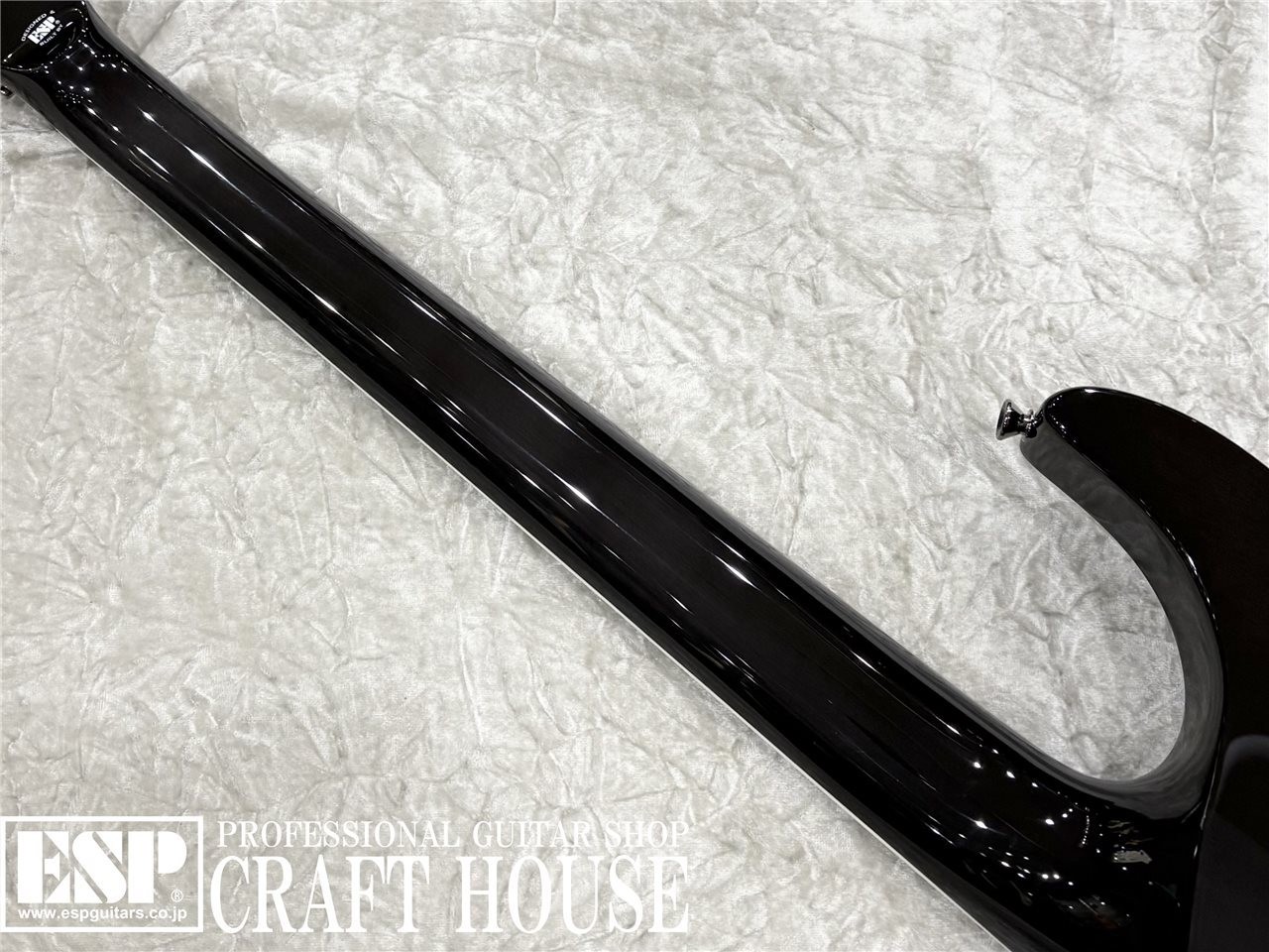E-II Horizon SGZ Custom Quilt See Thru Black X JAPAN SUGIZO Signature Model Used