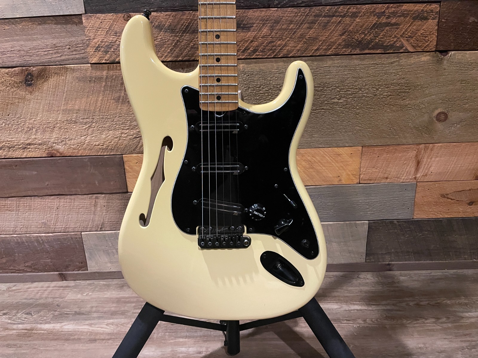 Fender Eric Johnson Thinline Stratocaster | Vega Trem Barden S-Style | MODS