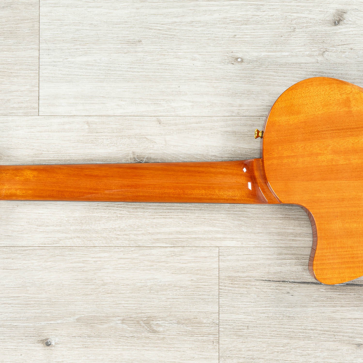Cordoba Stage Electric Nylon String Guitar, Pau Ferro Fretboard, Natural Amber