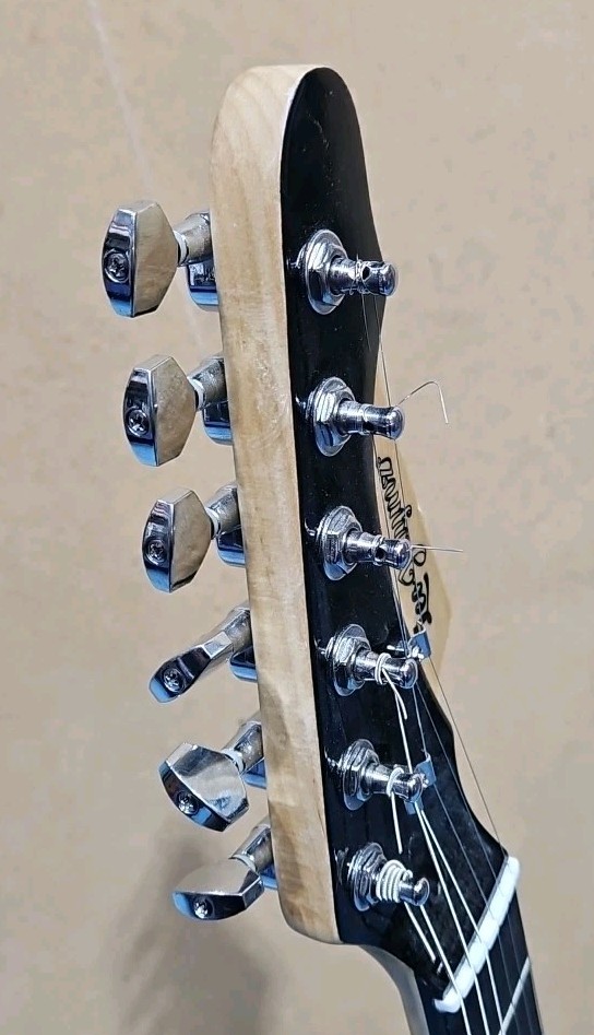 Leo Jaymz HSS Stratocaster-Style Electric Guitar with Case