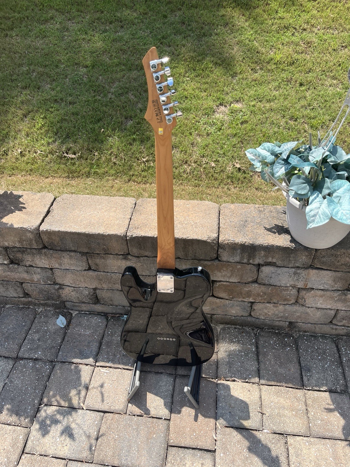 Leo Jaymz Popcaster Tele Style Electric Guitar