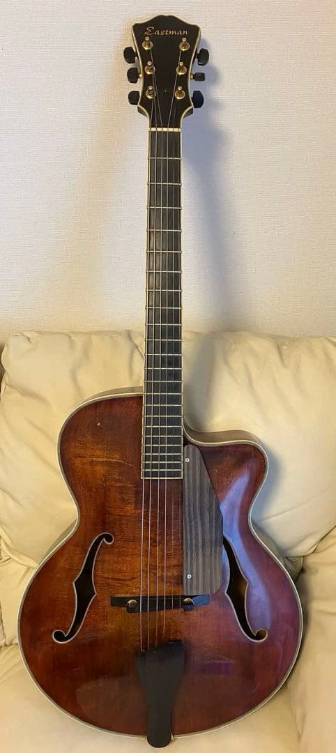Eastman AR805