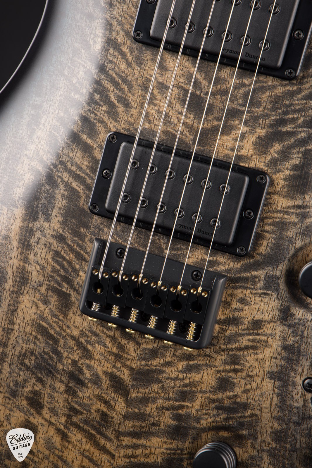 PRS Mark Holcomb – Holcomb Wraparound Blue Burst