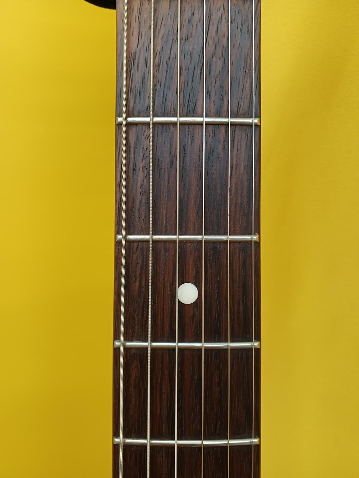 FENDER JAPAN JM66-CO Used 1995-1996 Alder body Rosewood fingerboard w/Gig case