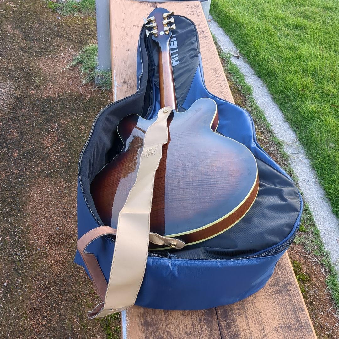 Michael Kelly Semi-Acoustic Guitar Special Gig Bag With Strap