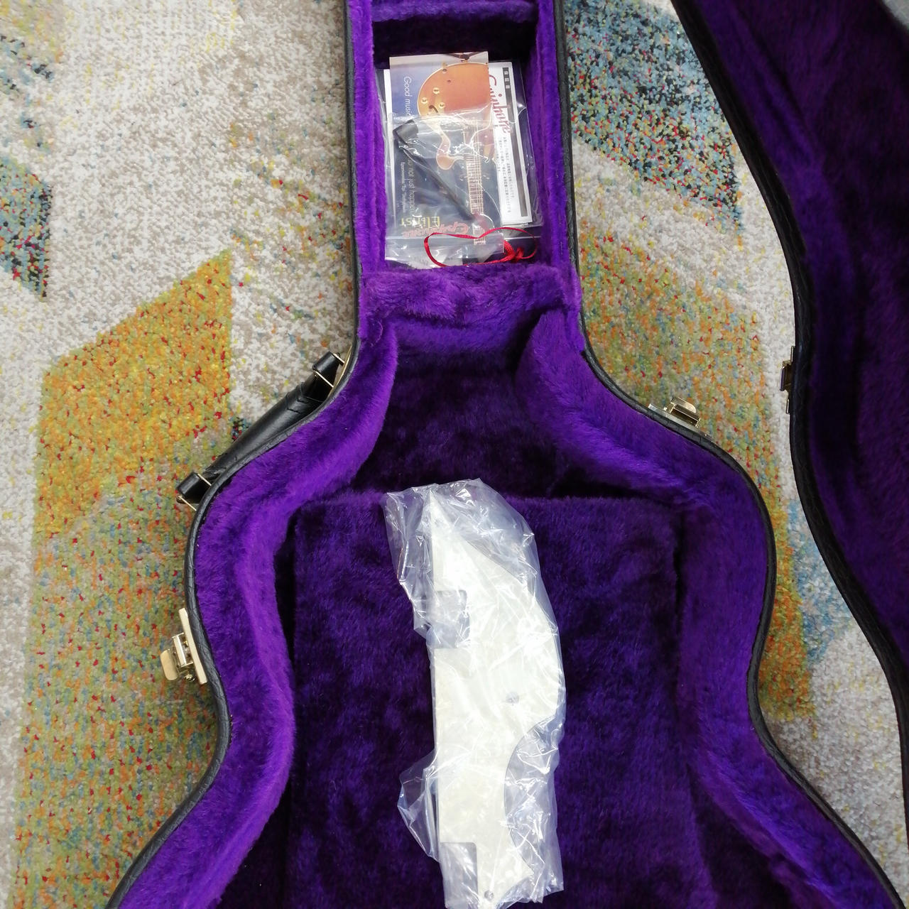 EPIPHONE 1965 CASINO NA Electric Guitar