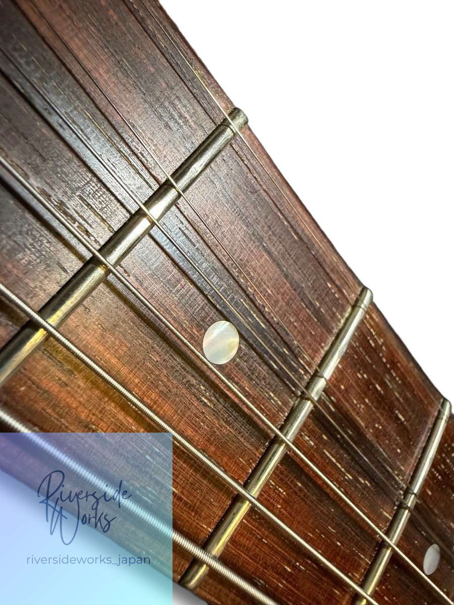 Crews Maniac Sound Ab’s Jacaranda Fretboard Floyd Rose