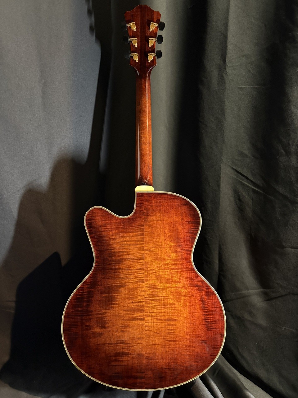 Eastman AR810