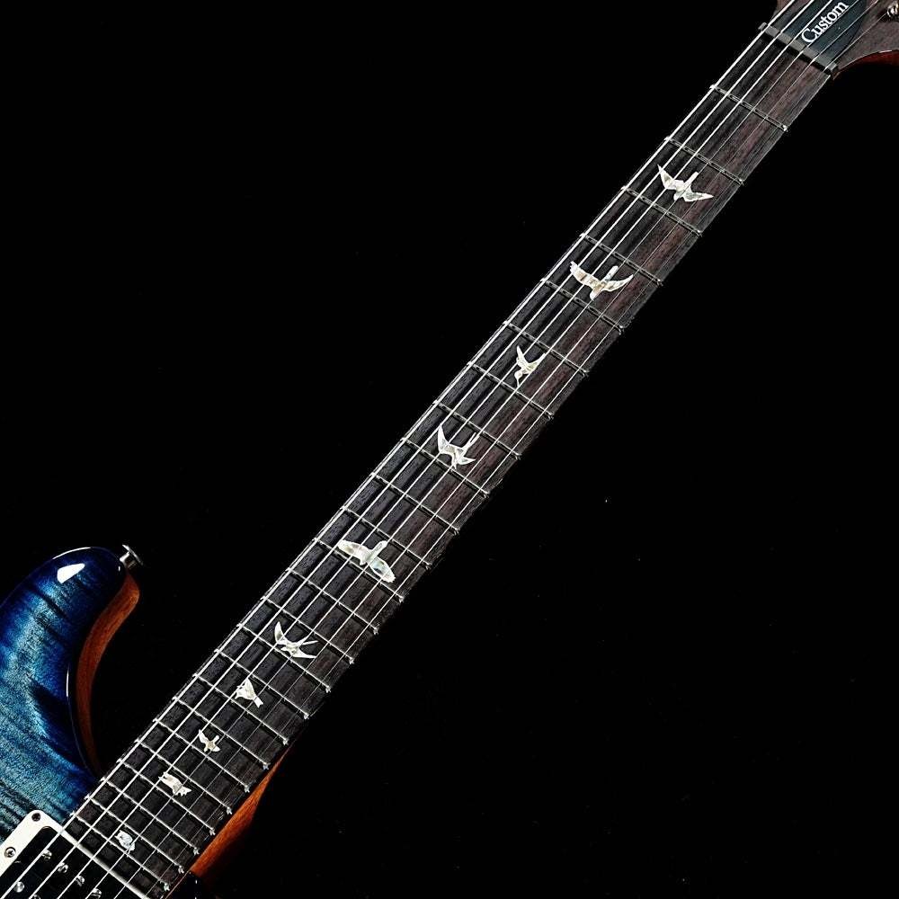 Paul Reed Smith(PRS) 2026 Custom 24 Custom Color #GG80x
