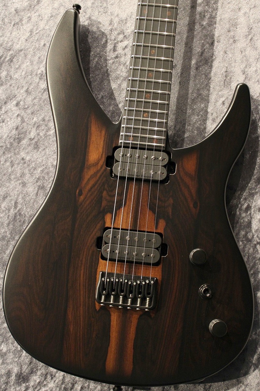 RUF Guitars Professor Schrödinger 6 Ziricote All Carbon Used