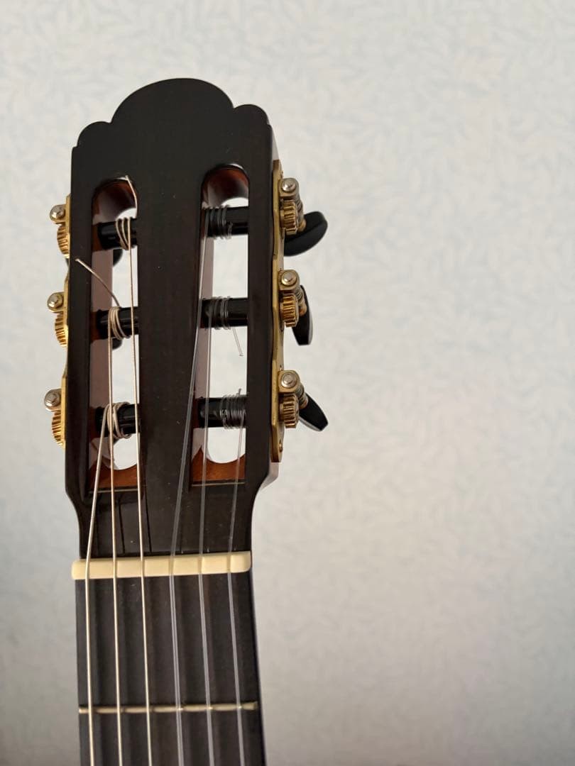 Martinez hauser with case