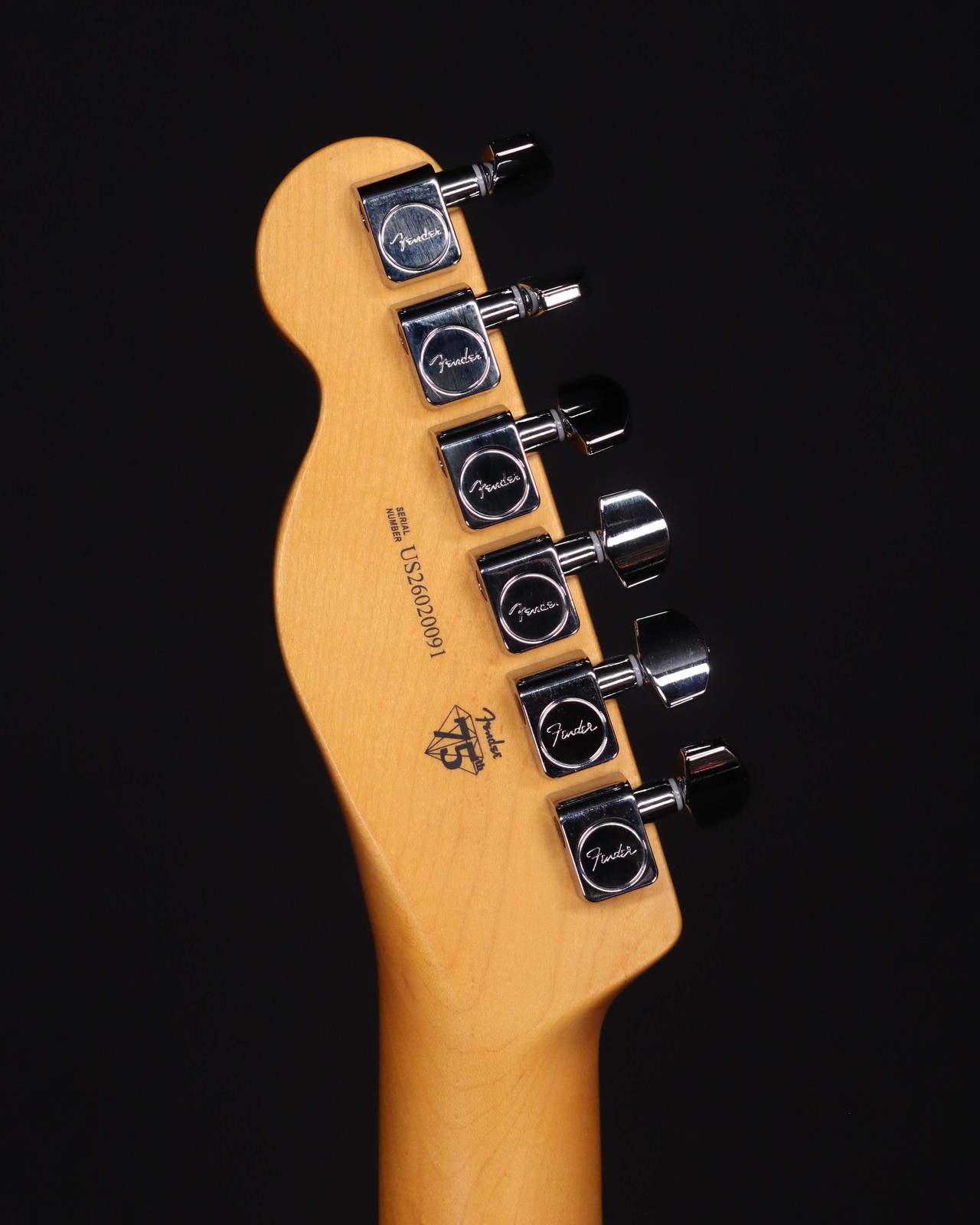 Fender American Professional II Telecaster, Maple FB, Roasted Pine