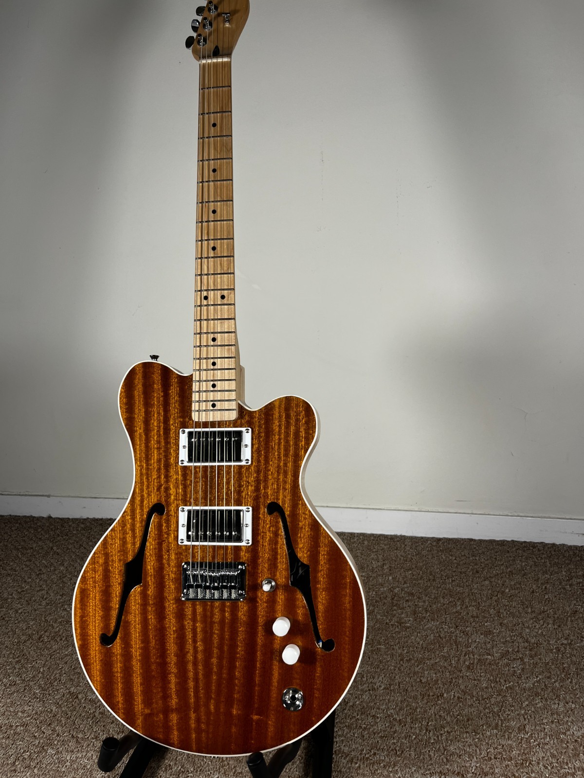 Catalyst Semi-Hollow Electric Guitar – FREE HARDCASE & SHIP (ES225/Tele hybrid)
