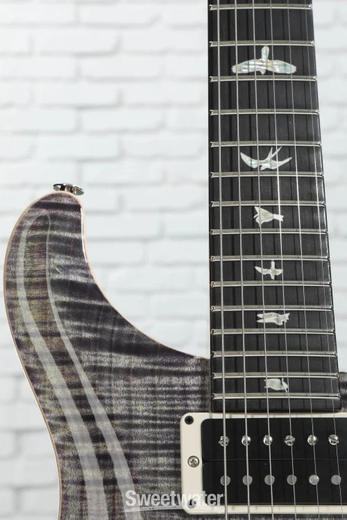PRS Custom 24 “Floyd” 10-Top Electric Guitar – Aurora Borealis