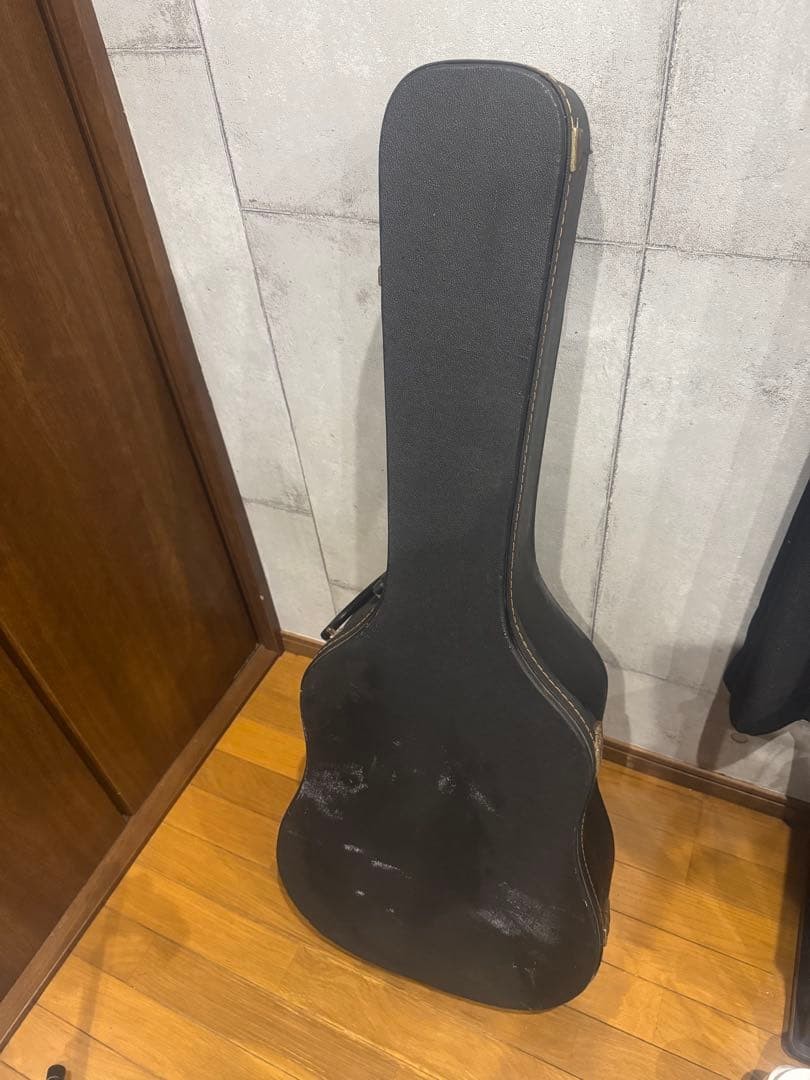 Morris M 601 side back with Jacaranda DiMarzio pickup