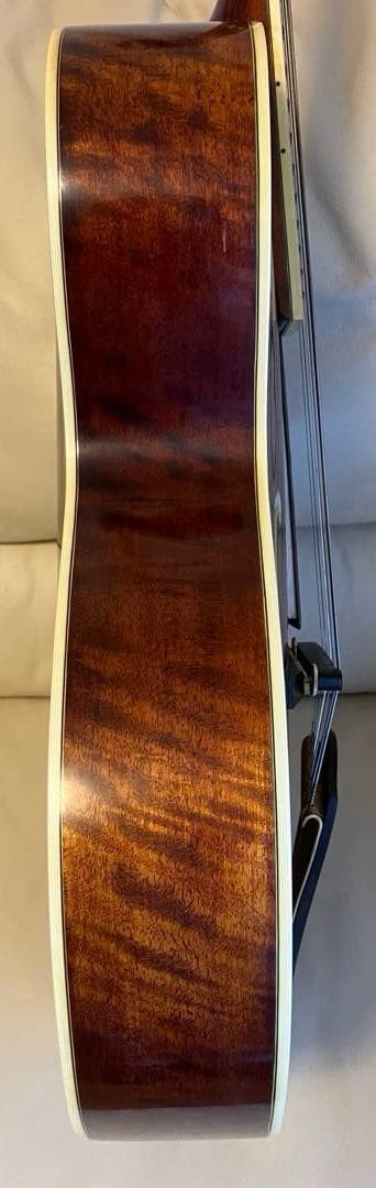 Eastman AR805