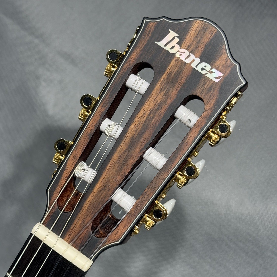 Ibanez FRH10N-NTF Natural Flat Nylon Electric Guitar with gig bag