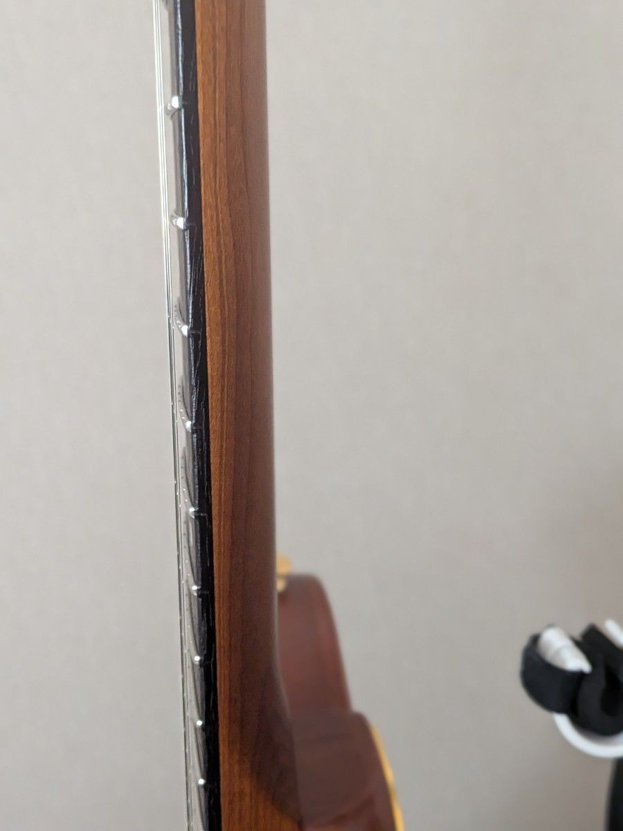 Fugen Expert Telecaster Electric Guitar Maple Fretboard Natural MINT