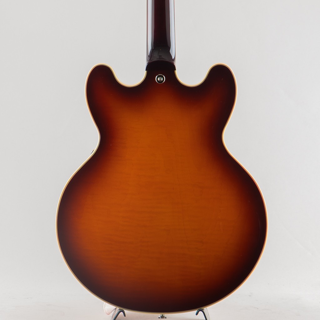 FUJIGEN FGN MSA-HP Antique Sunburst