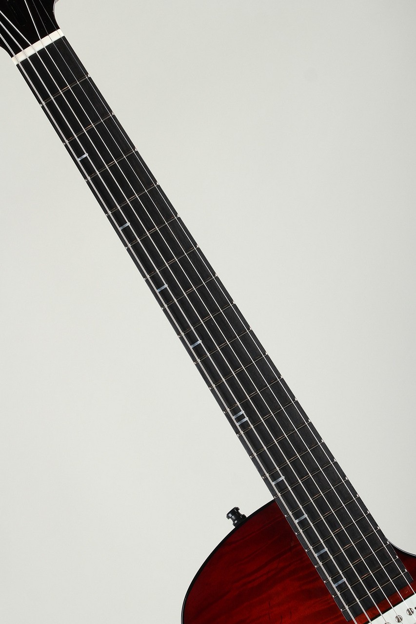 Marchione Semi Hollow Baritone 59 Burst / Figured Maple Mahogany Back The First