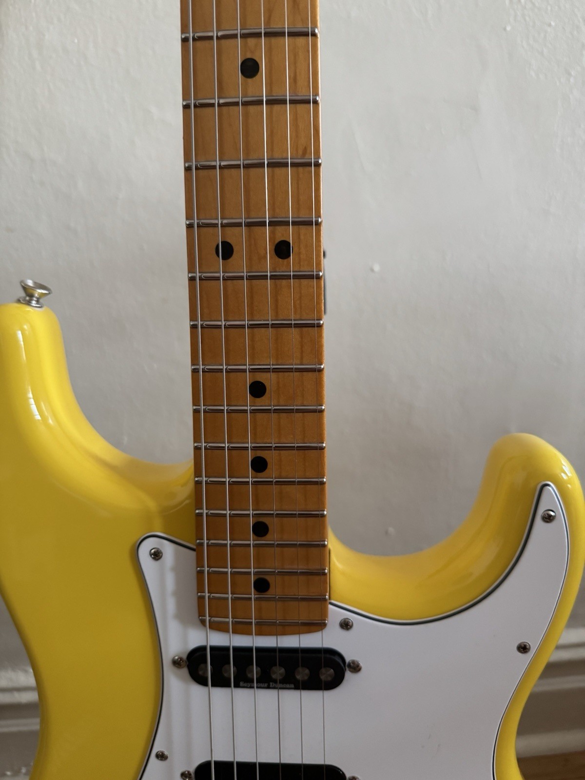 Fender Ultra Stratocaster (Partcaster) Black Headstock Neck MIM Body
