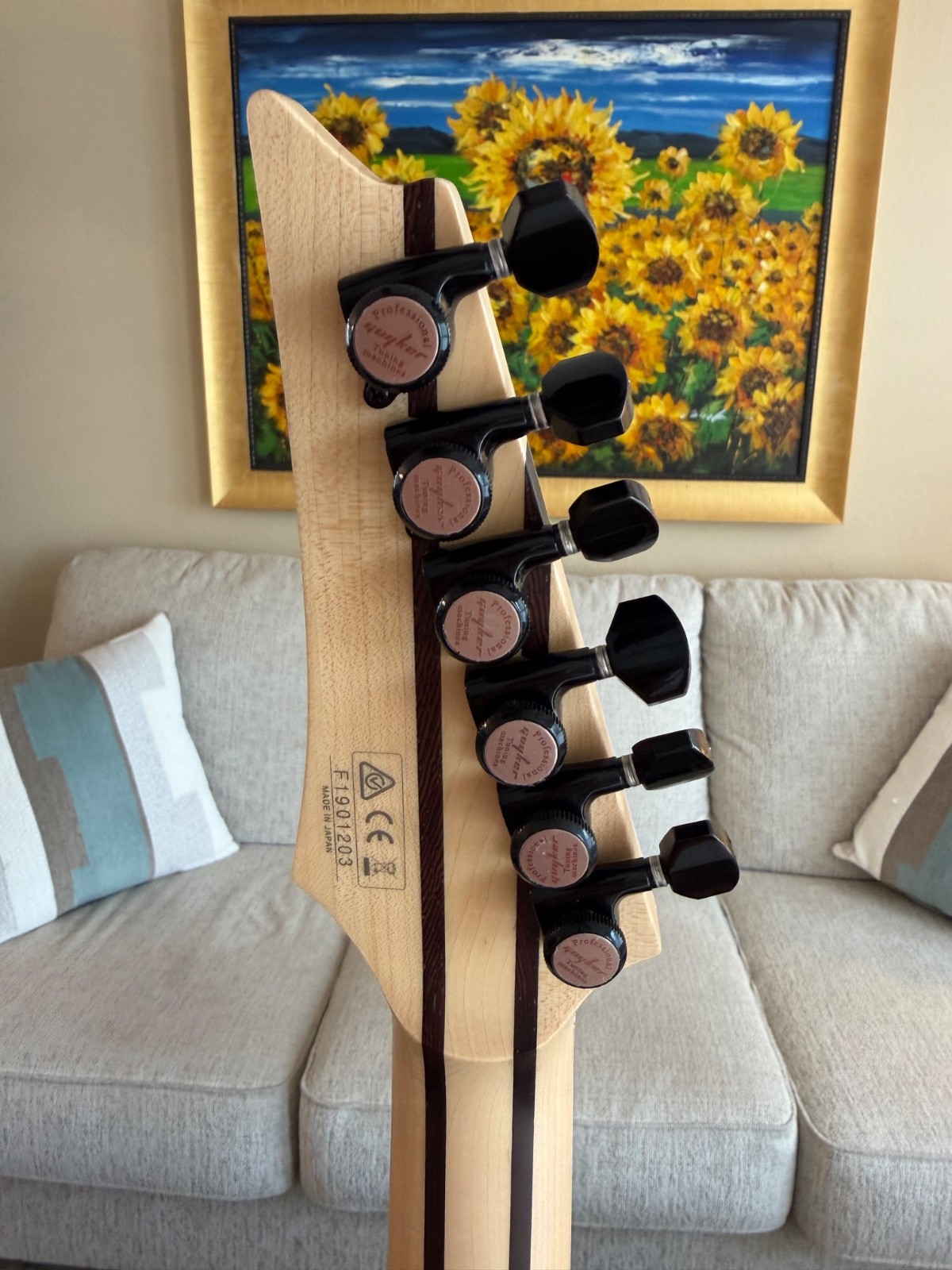 Ibanez RGR5000 Series Guitar