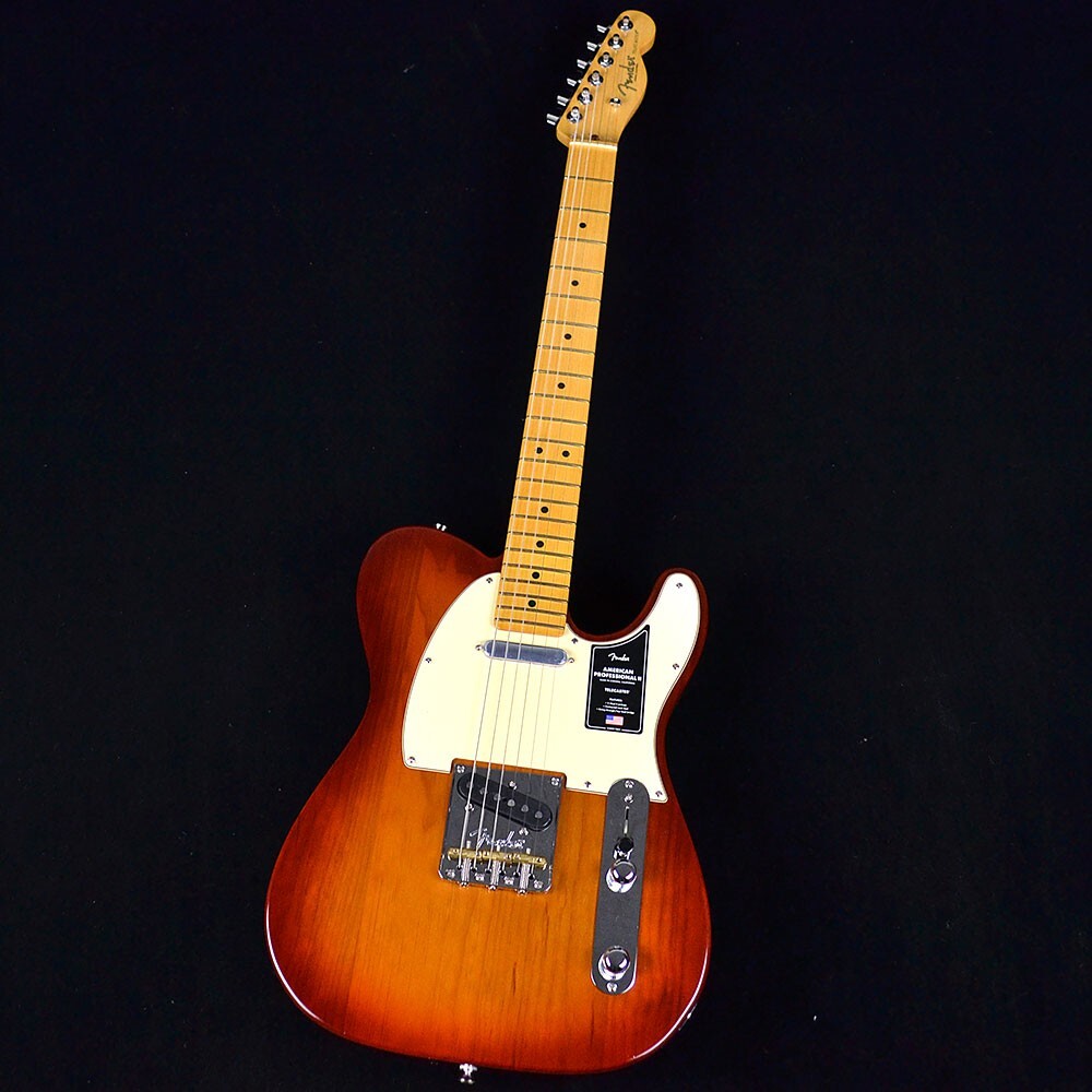 Fender American Professional Telecaster Electric Guitar Sienna Sunburst