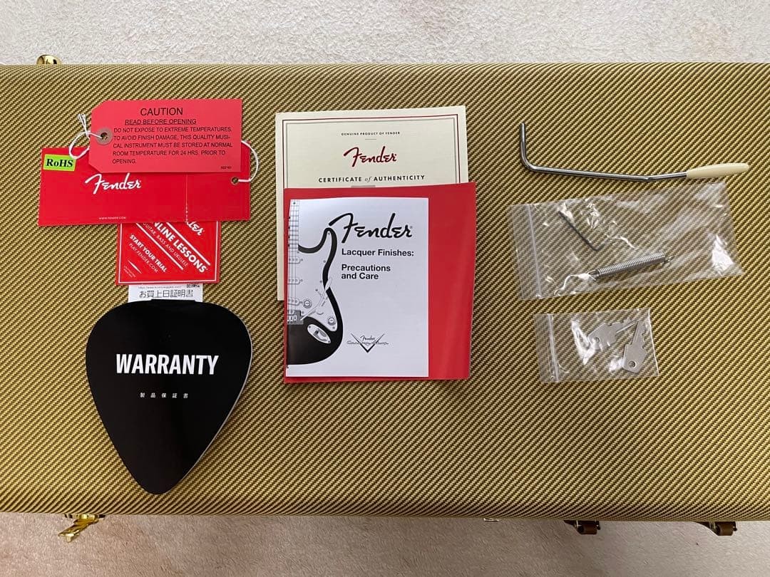 Eric Johnson 1954 Virginia Stratocaster #QY6VHQ
