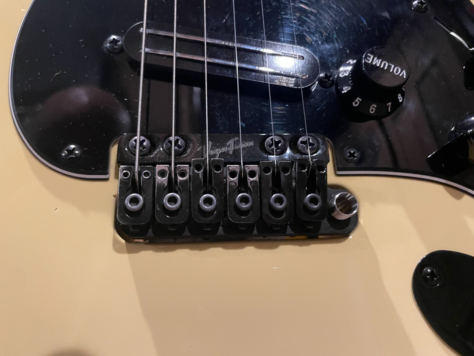 Fender Eric Johnson Thinline Stratocaster | Vega Trem Barden S-Style | MODS