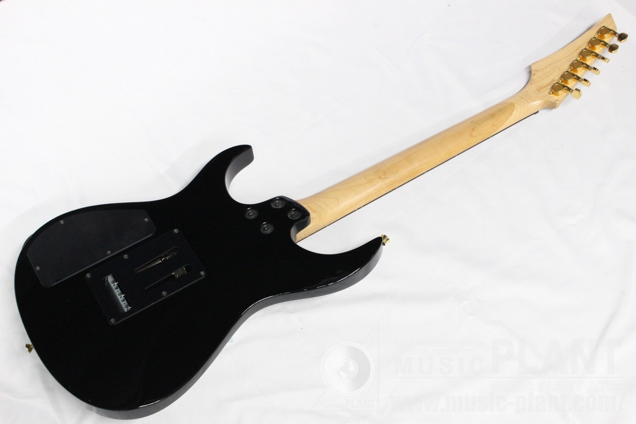 FERNANDES FGZ-400 SBS