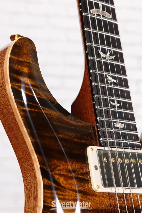 PRS DGT Electric Guitar with Bird Inlays – Tiger Eye, 10-Top