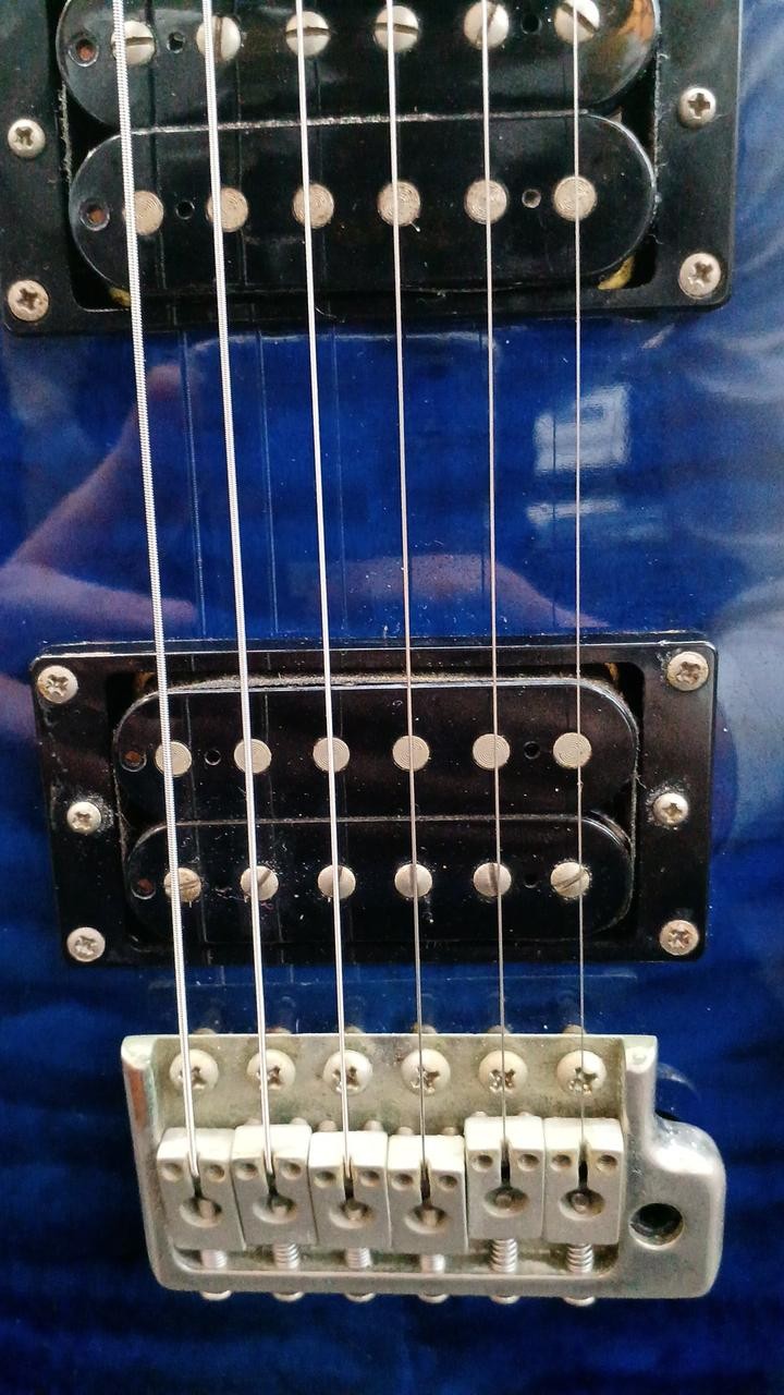 PRS SE CUSTOM 24 25TH ANNIVERSARY Electric Guitar