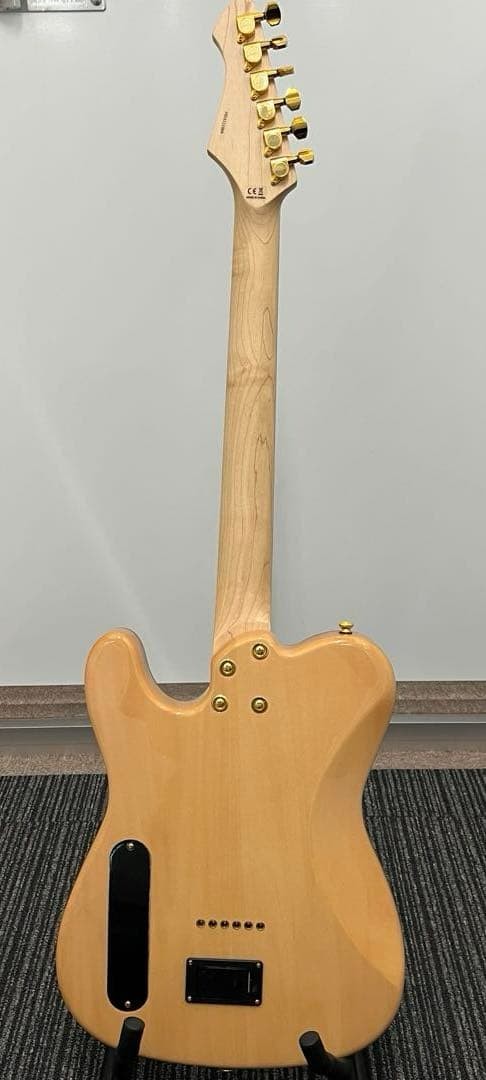Aria Pro Ii Teg-780 Warranty With Genuine Gig Bag