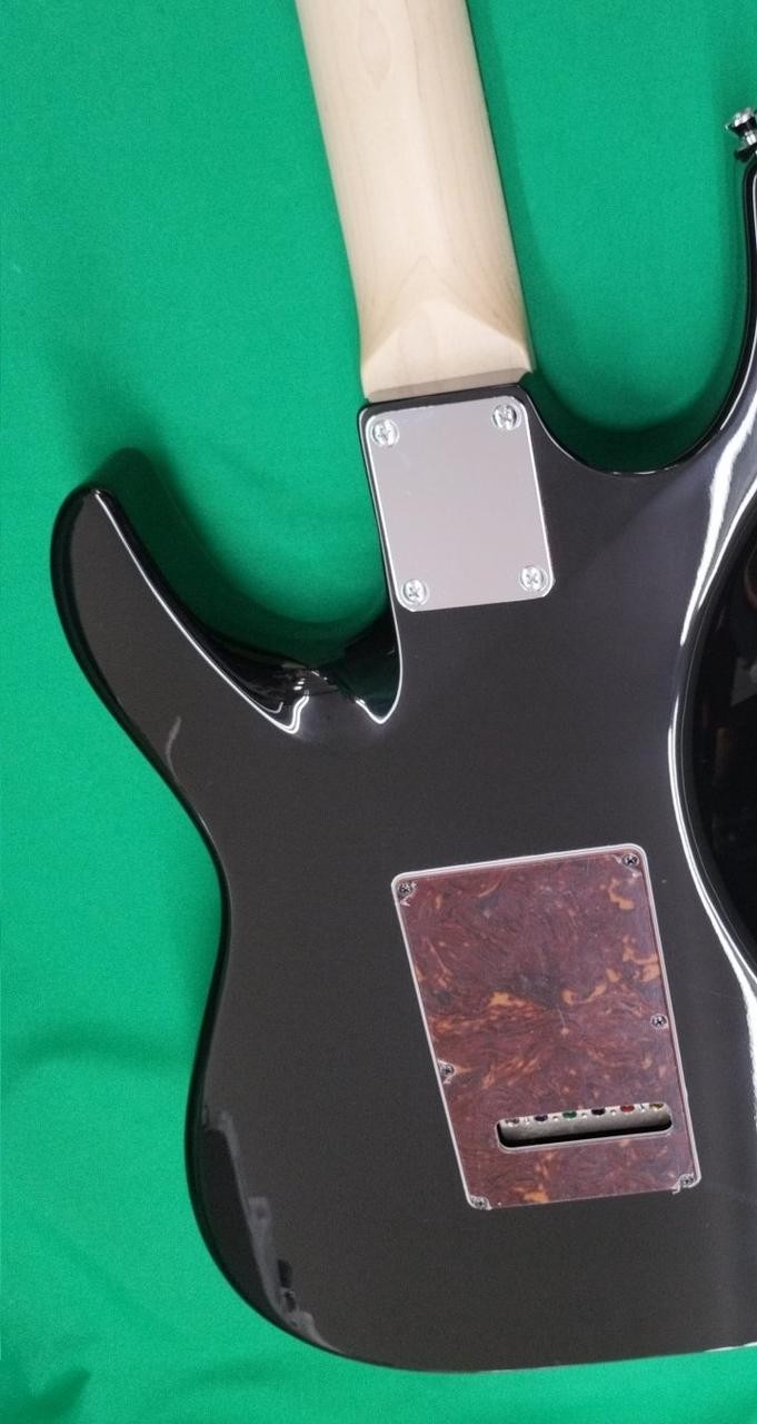 DRAGONFLY HI STA(648) Electric Guitar