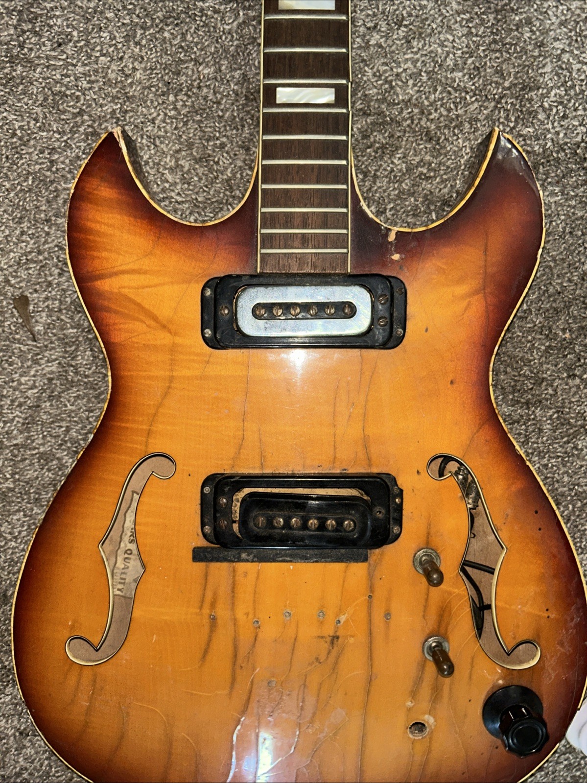 1954 Hoyer Arch top Electric Guitar