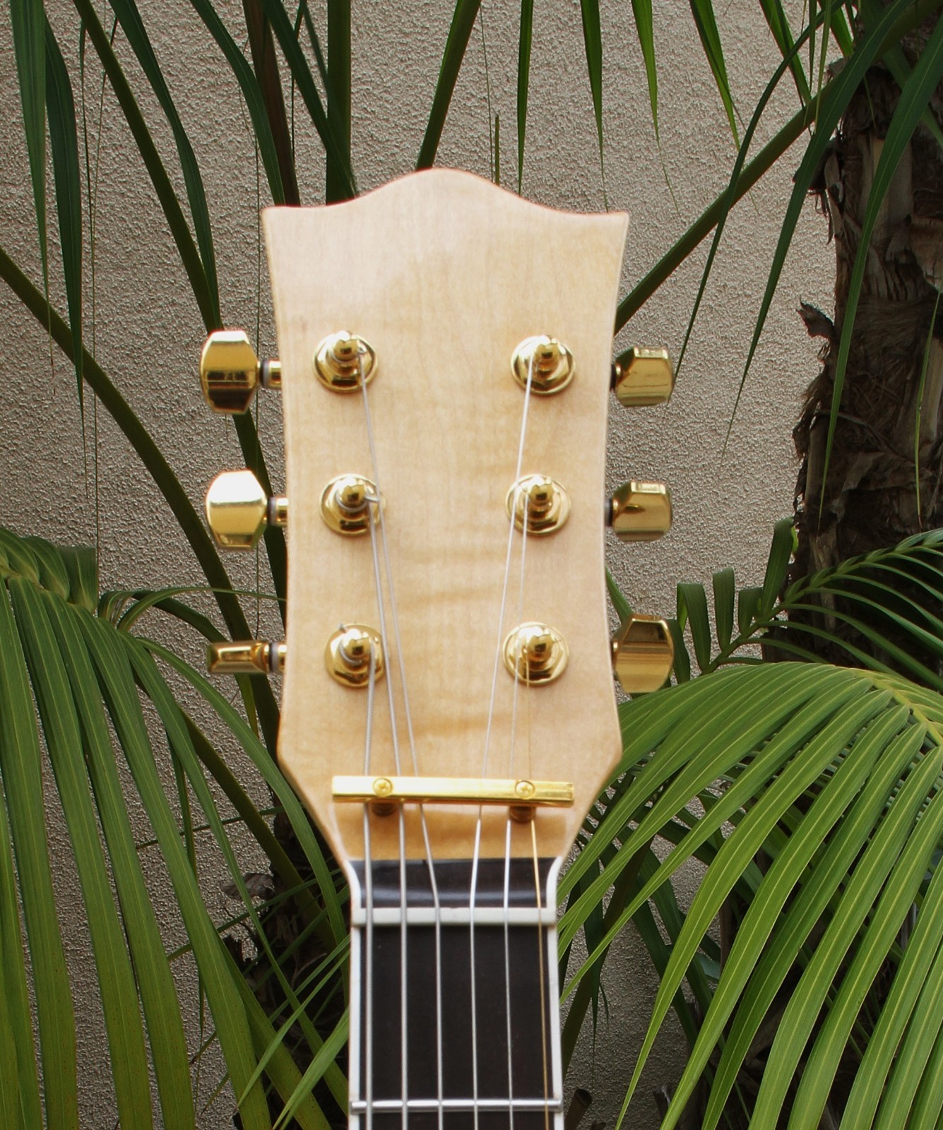 LP Style Figured Maple Top Electric Guitar