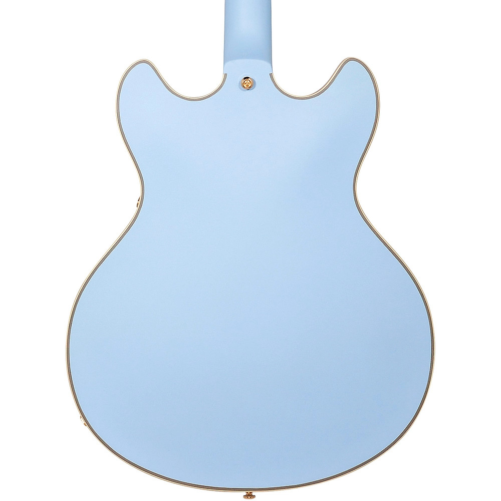 D’Angelico Deluxe LE DC Non FHole Guitar Matte Pwdr Blu, Tort guard 19474451 OB