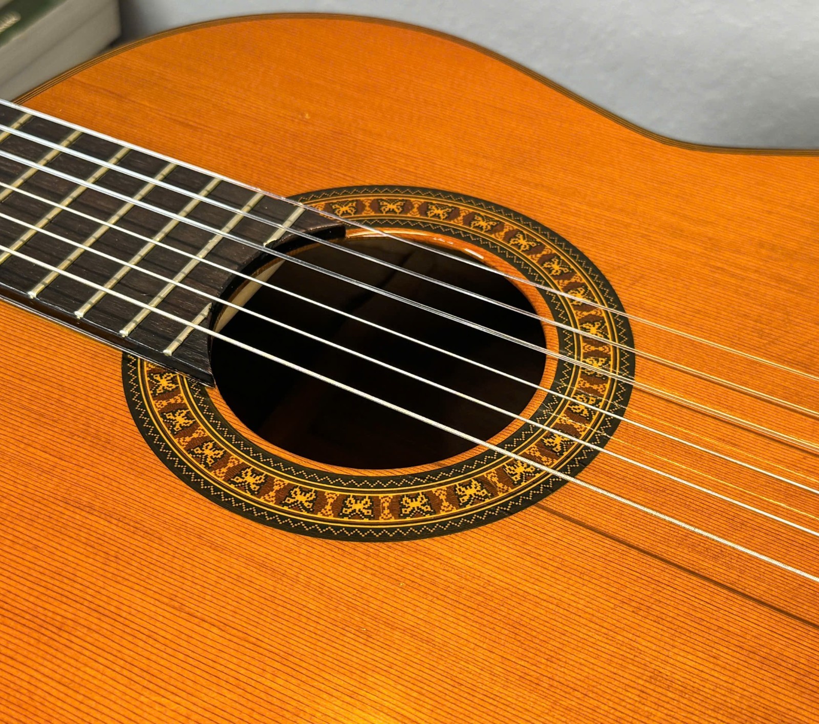 Fernandes GC-50 – Jacaranda – 1978-1979 – Good