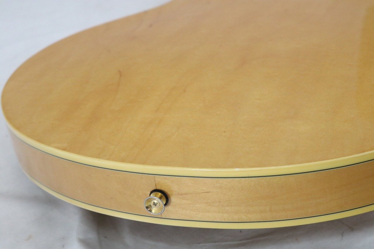 Epiphone SHERATON II