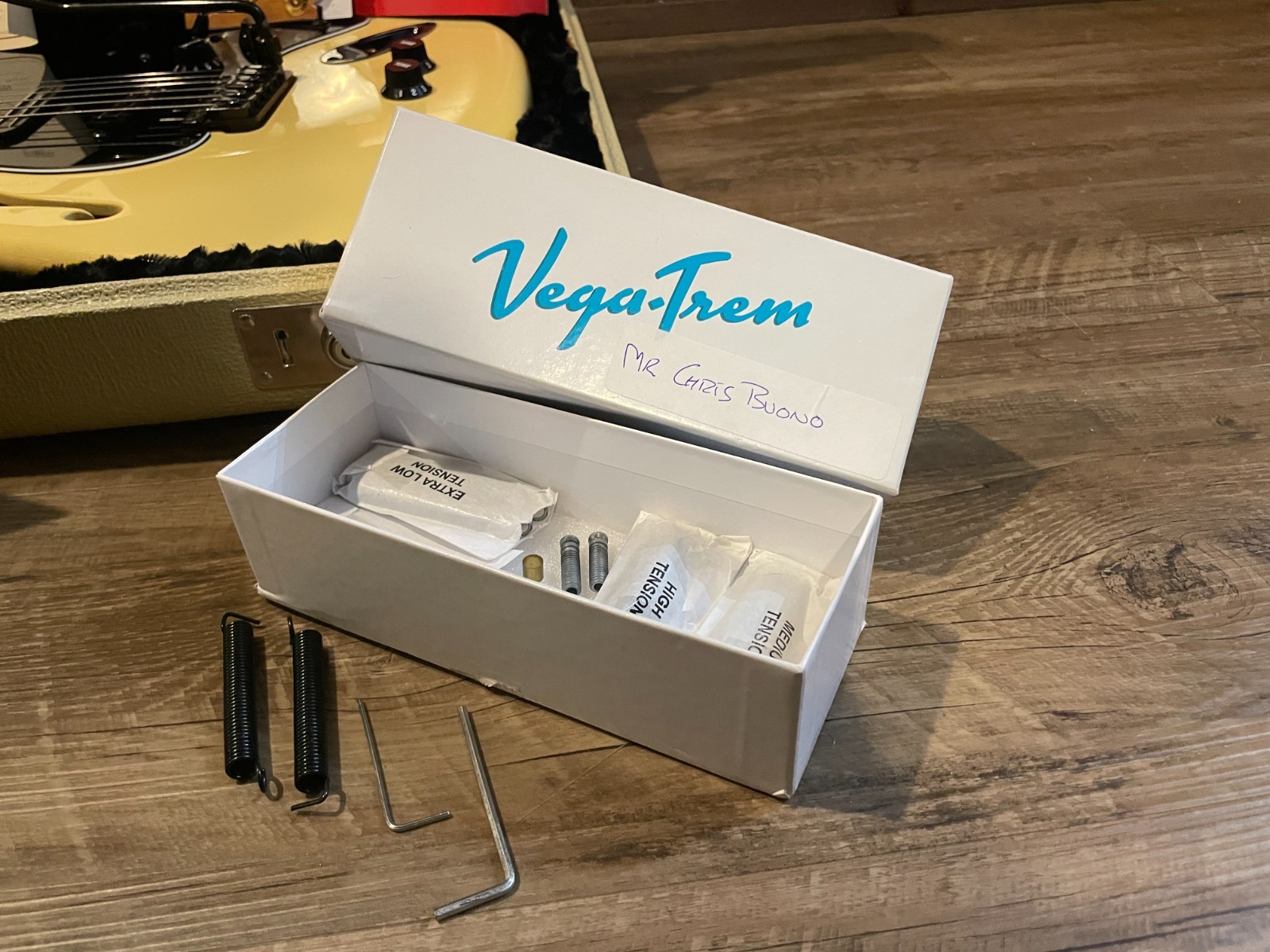 Fender Eric Johnson Thinline Stratocaster | Vega Trem Barden S-Style | MODS