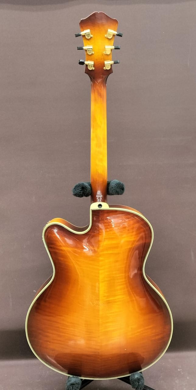 EASTMAN AR-810CE Electric Guitar