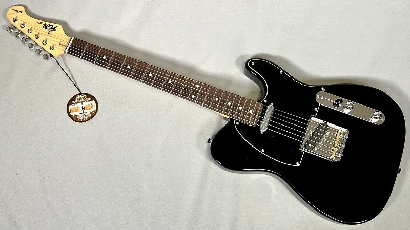 FUJIGEN FGN NTE100RAL-BK Black Neo Classic Series