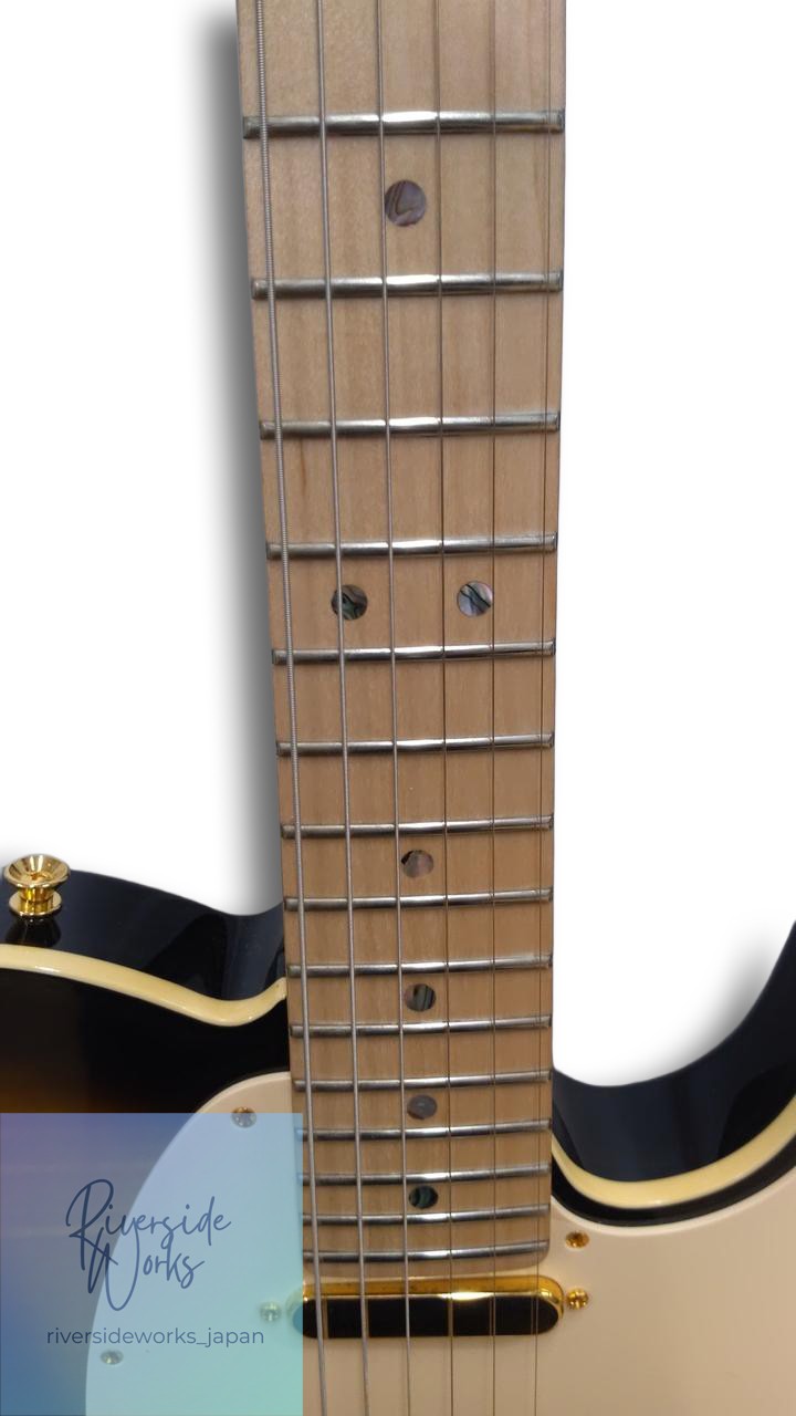 FENDER JAPAN Electric Guitar RICHIE KOTZEN BROWN TELE
